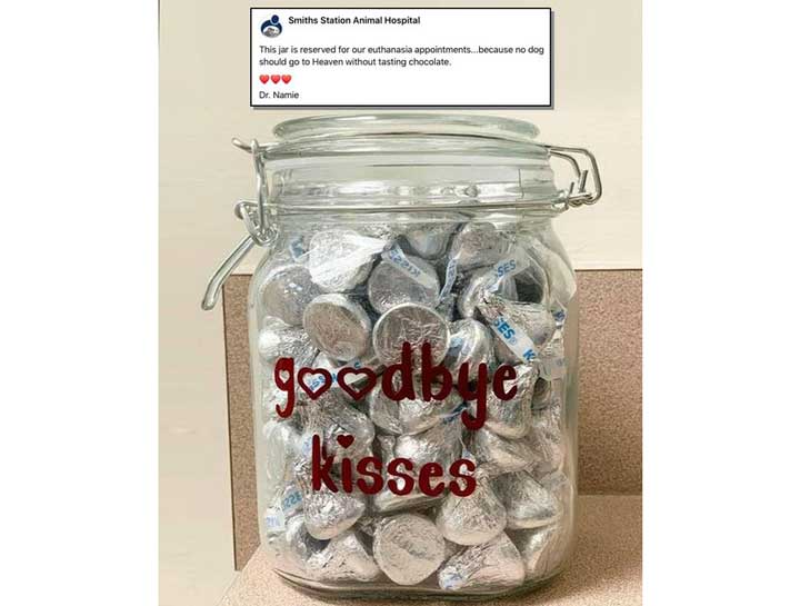 Goodbye Kisses